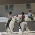 Music Strikes A Chord With Horses & Riders